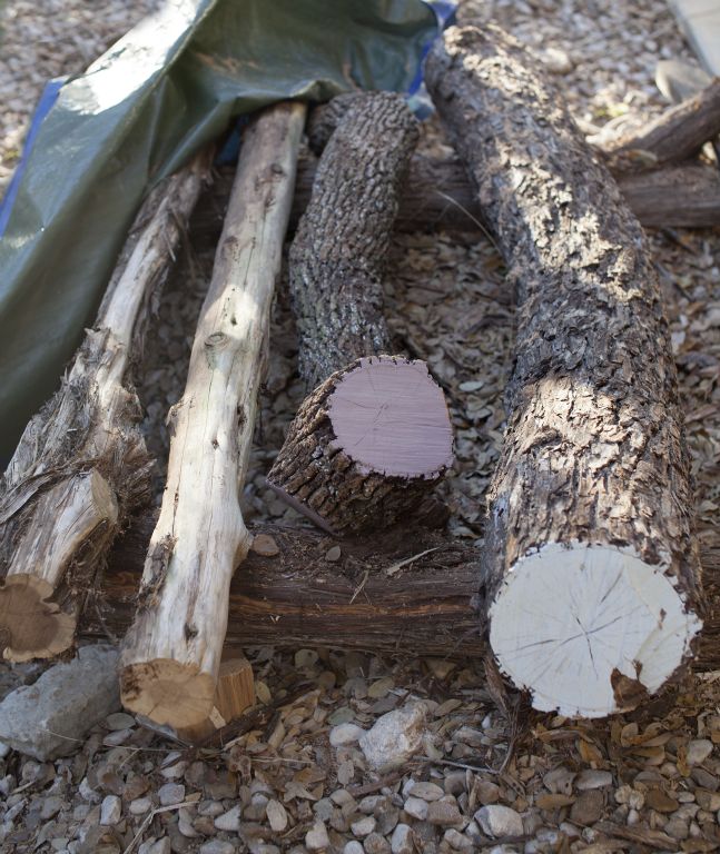 We paint the ends of our logs to slow drying and increase stability of the wood.